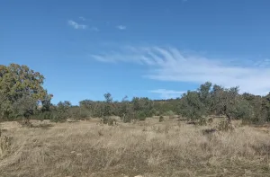 Venta finca rústica en Monterrubio La Serena