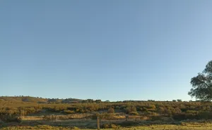 Venta finca rústica en Zufre