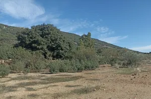 Finca rústica en Monterrubio La Serena