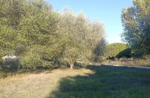 Finca Rústica en Algeciras