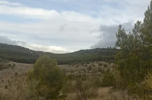 Finca Rústica en Huelma