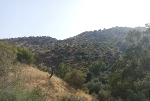 Finca Rústica en Málaga