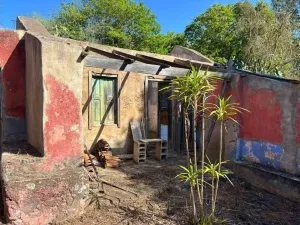 Finca en Moya - Las Palmas