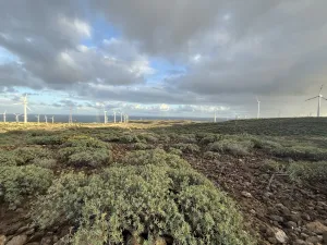 Finca en Venta para energías renovables