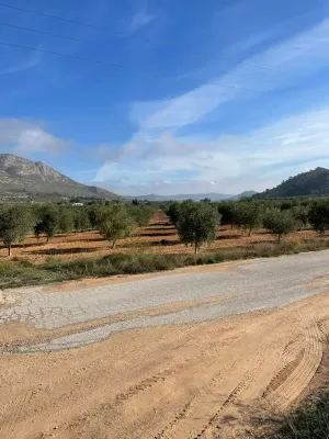 Finca Rústica de 24,5ha Casa 250m2 Nave 300m2