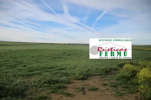 Finca de cultivo en Hinojosa del Duque.