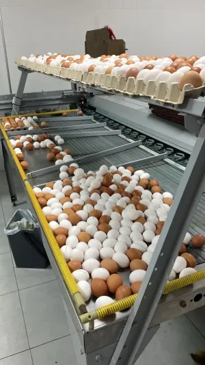 Alquiler de negocio en funcionamiento