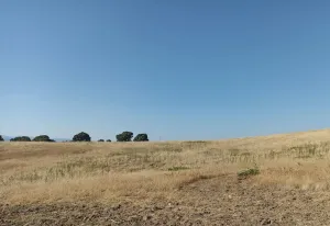 Finca Rústica en Santa Cruz de Retamar