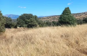 Finca Rústica en Colmenar Viejo