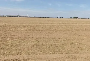 Finca Rústica en Albacete