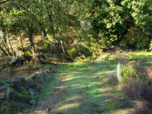 FINCA RÚSTICA  EN LA ZONA CÁLIDA DE LA SIERRA