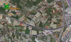 Finca rústica de regadío en la Vega de Granada. (Facil acceso a pie de ctra.)