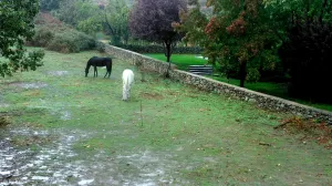 VENTA DE TERRENO CON VIVIENDA EN LA VERA