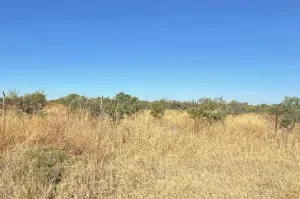 Finca de Regadío en Carmona