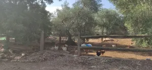 FINCA RÚSTICA CON CASA Y ALMACÉN