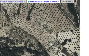 VENTA DE FINCA OLIVAR Y MONTE EN JAÉN