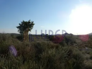 Finca en Agost Alicante