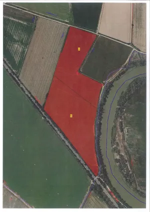 VEGA DEL TAJO ARANJUEZ 10 HA