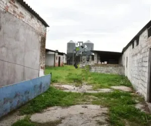 se vende o alquila finca de 1,5 hectarea