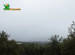 Finca rústica en Peligros - Sierra de la Alfaguara.