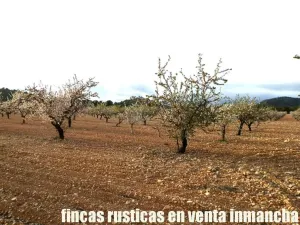finca en venta 125 has. labor-almendros-monte
