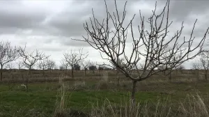 VENTA FINCA 7 HECTÁREAS