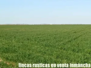 finca en venta 366 has. labor viña en Toledo