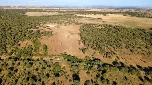 Finca Rústica en Pizarral, Salamanca
