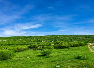 Finca Ganadera en El Espinar Segovia