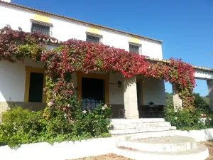 Finca naranjos y olivar,gran casa y dehesa