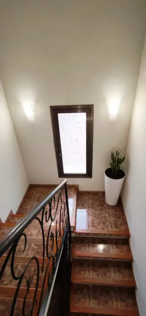 FINCA RUSTICA ENTRE VIÑEDOS DEL PENEDES