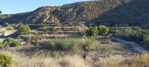 Huerta con casa de aperos, punto de luz y aljibe en los tollos, Archena.