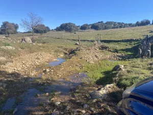 OPORTUNIDAD DEHESA GANADERA 440h