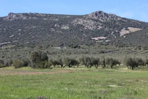 Casa rural en venta en Cr-p-7123, 4 km