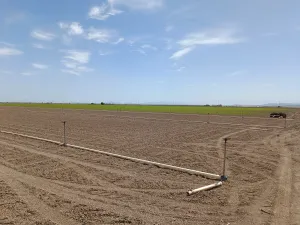 Se vende finca de regadío.