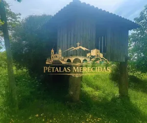Finca en Póvoa de Lanhoso