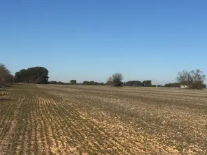 Alquilo parcela de 14,5 Has.