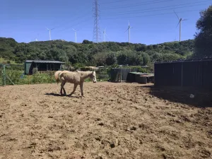 TARIFA FINCA RÚSTICA