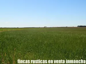 finca en venta 295 has. labor secano Albacete