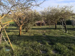 Finca en Modubar de la Emparedada