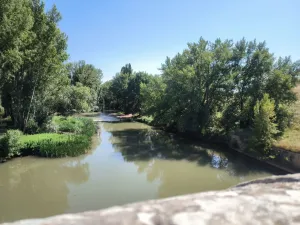 Finca en Palacios de Riopisuerga