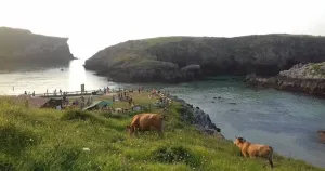 Casa en Llanes - Asturias