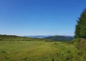 Corvera de Toranzo - Cantabria