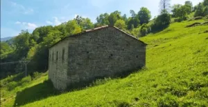 Finca en San Roque de Riomera