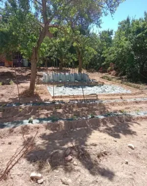 Finca en Aguas Candidas