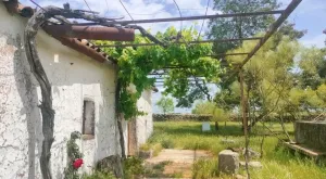 Preciosa finca, buen acceso