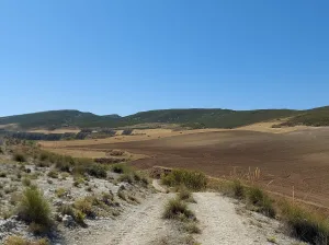 FINCA RÚSTICA EN ESCÚZAR (GRANADA) – 15,7ha