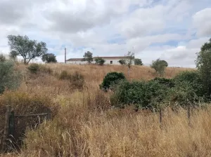 Portugal Herdade com muito potencial