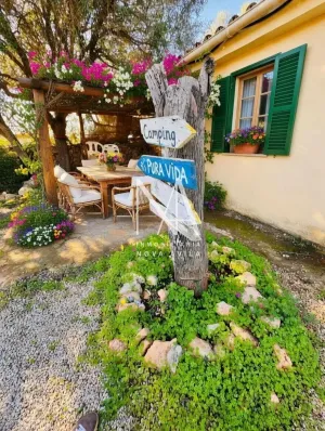 FINCA RUSTICA LLUCMAJOR