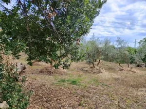 Finca rustica en Durcal, Marchena